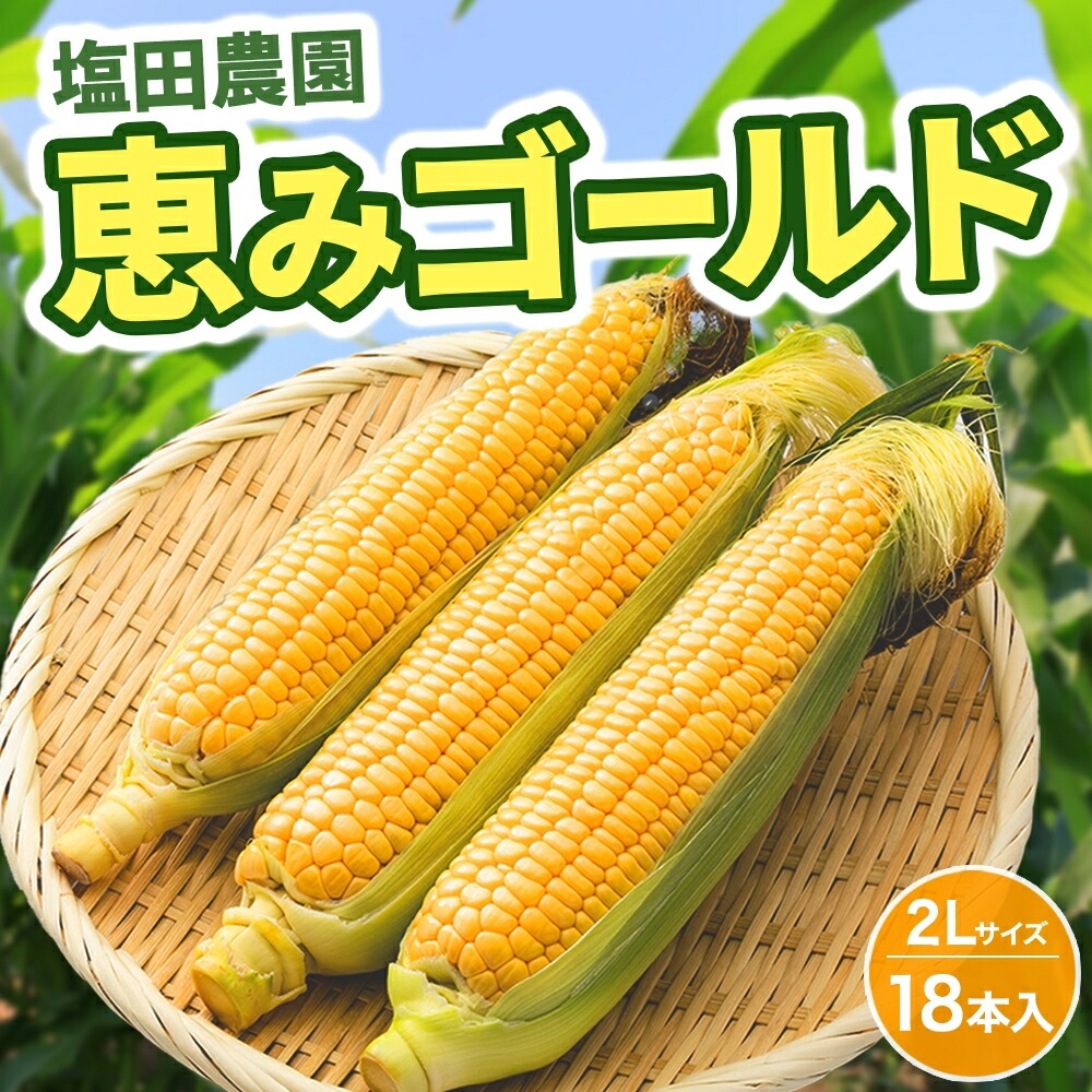 【ふるさと納税】北海道産 とうもろこし 恵味 ゴールド 2L 18本 8月中旬～9月末頃お届け 朝採り めぐみ トウモロコシ コーン スイートコーン 甘い 新鮮 先行受付 夏 野菜 産地直送 送料無料 塩田農園 北海道 洞爺湖町　お届け：2025年8月中旬～9月末頃まで