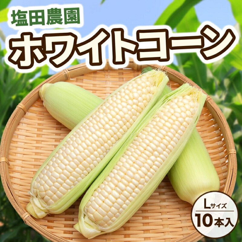 【ふるさと納税】北海道産 白い とうもろこし ピュア ホワイト L 10本 8月中旬～下旬お届け 朝採り トウモロコシ コーン 北海道産 甘い ピュアホワイト 新鮮 先行受付 夏 野菜 産地直送 塩田農園 送料無料 北海道 洞爺湖町 　お届け：2025年8月中旬～8月下旬まで