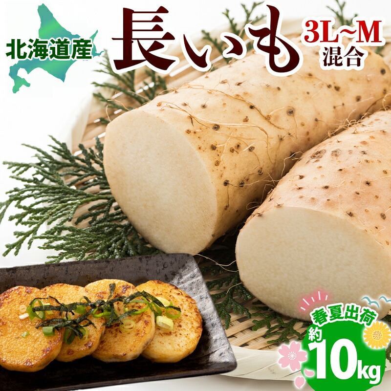 楽天市場】【ふるさと納税】北海道十勝産ながいも 4本セット【B70】 約