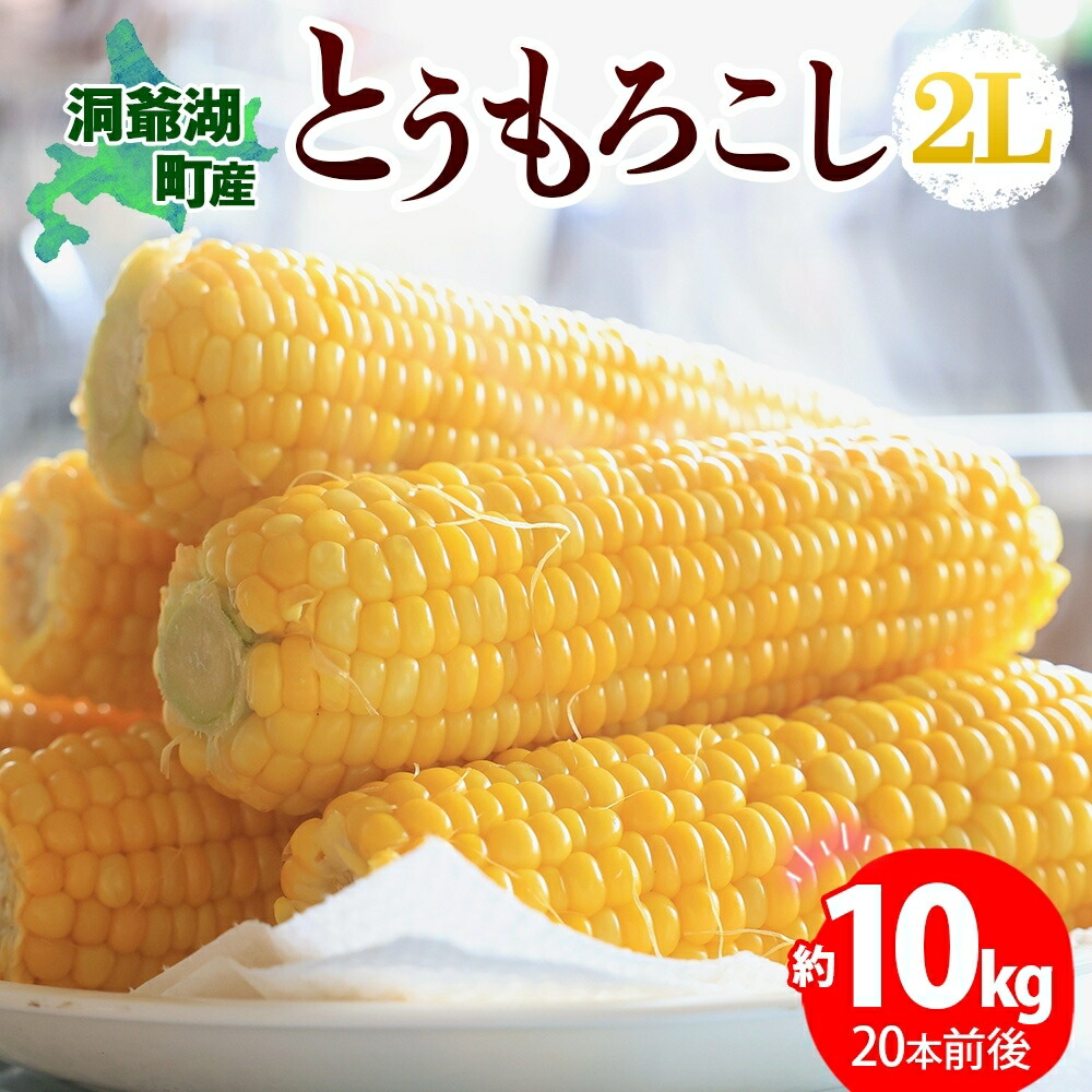 【ふるさと納税】北海道産 とうもろこし 2L 約10kg 20本前後 2025年8月下旬～9月上旬頃お届け とうきび 新鮮 旬 トウモロコシ スイートコーン 産地直送 送料無料 北海道 洞爺湖町　お届け：2025年8月下旬～9月上旬頃まで