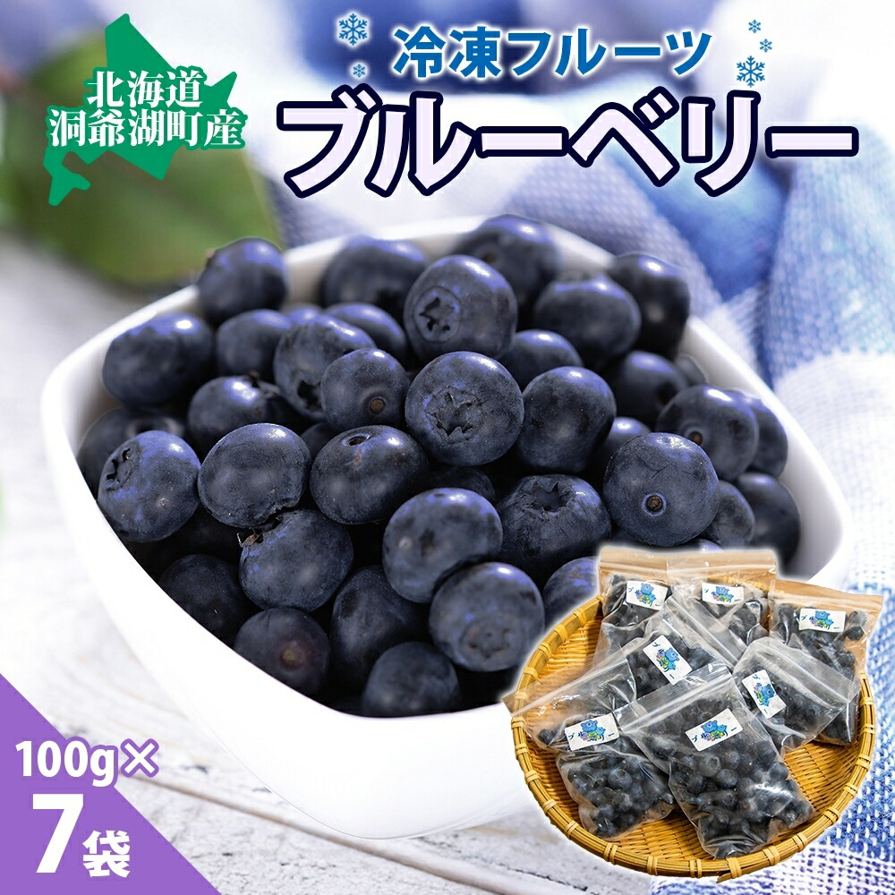 【ふるさと納税】北海道産 ブルーベリー 100g 7袋 果物 果実 くだもの 冷凍食品 おやつ デザート ジュース ヨーグルト ジャム スイーツ 簡単 便利 一人暮らし 小分け 製菓 送料無料 冷凍 北海道 洞爺湖町　お届け：2023年8月中旬より順次出荷