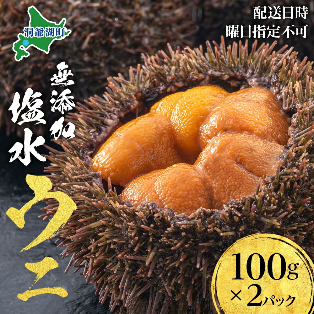 【ふるさと納税】北海道 無添加塩水 ウニ 100g 2パック 6月中旬～7月末頃まで順次出荷 バフン ムラサキ うに 雲丹 海鮮 小川商店 　お届け：2025年6月中旬～7月末頃まで順次出荷 　※配送日時・曜日指定不可・水揚げ後順次出荷のみ対応となります。