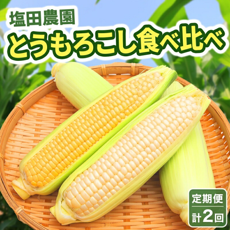 【ふるさと納税】定期便 全2回 北海道産 朝採りとうもろこし 2種 食べ比べ 8月・9月 計2回お届け 恵味 めぐみ ゴールド ピュアホワイト トウモロコシ 先行受付 夏 野菜 新鮮 産地直送 塩田農園 送料無料 北海道 洞爺湖町 　お届け：2025年8月・9月　計2回お届け
