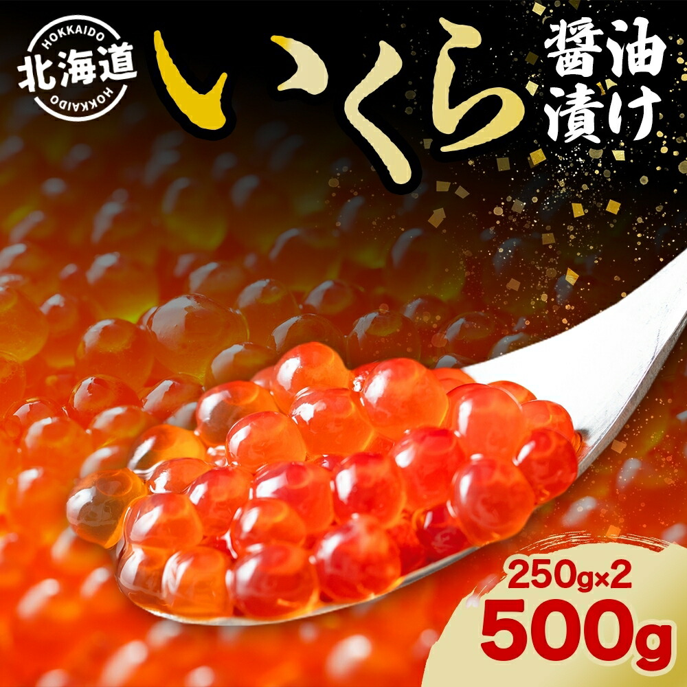 【ふるさと納税】北海道 いくら醤油漬け 250g 2個 計500g 北海道 イクラ醤油漬け 小分け いくら 国産 イクラ 海鮮 魚介 魚卵 海産物 醤油漬け 鮭いくら 新鮮 寿司 刺身 おかず おつまみ 贅沢 お取り寄せ グルメ 贈り物 ギフト　お届け：2025年2月より順次出荷
