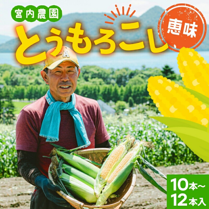 【ふるさと納税】北海道産 とうもろこし 糖度20度以上 恵味 めぐみ 2L 10～12本 7月下旬～8月下旬頃にお届け 先行受付 朝採り トウモロコシ スイート コーン  旬 夏 野菜 新鮮 産地直送 宮内農園 送料無料 洞爺湖町　お届け：2025年7月下旬～8月下旬まで