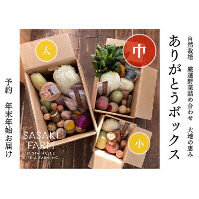 【ふるさと納税】旬の野菜詰め合わせ ～ありがとうBOX2025・中～ 12月1日～1月31日頃お届け 北海道 野菜 やさい 詰め合わせ セット 北海道産 常備菜 加工品 自然栽培 佐々木ファーム 産地直送 洞爺湖町　お届け：2025年12月1日～2026年1月31日まで