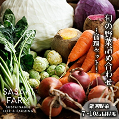 【ふるさと納税】〈自然栽培〉佐々木ファーム 旬の野菜詰め合わせ ～循環セット～ 厳選野菜7-10品目程度 3月よりお届け やさい 直送 北海道 洞爺湖町 野菜の詰め合わせ 北海道産 北海道産野菜 　お届け：2025年3月1日～11月30日まで
