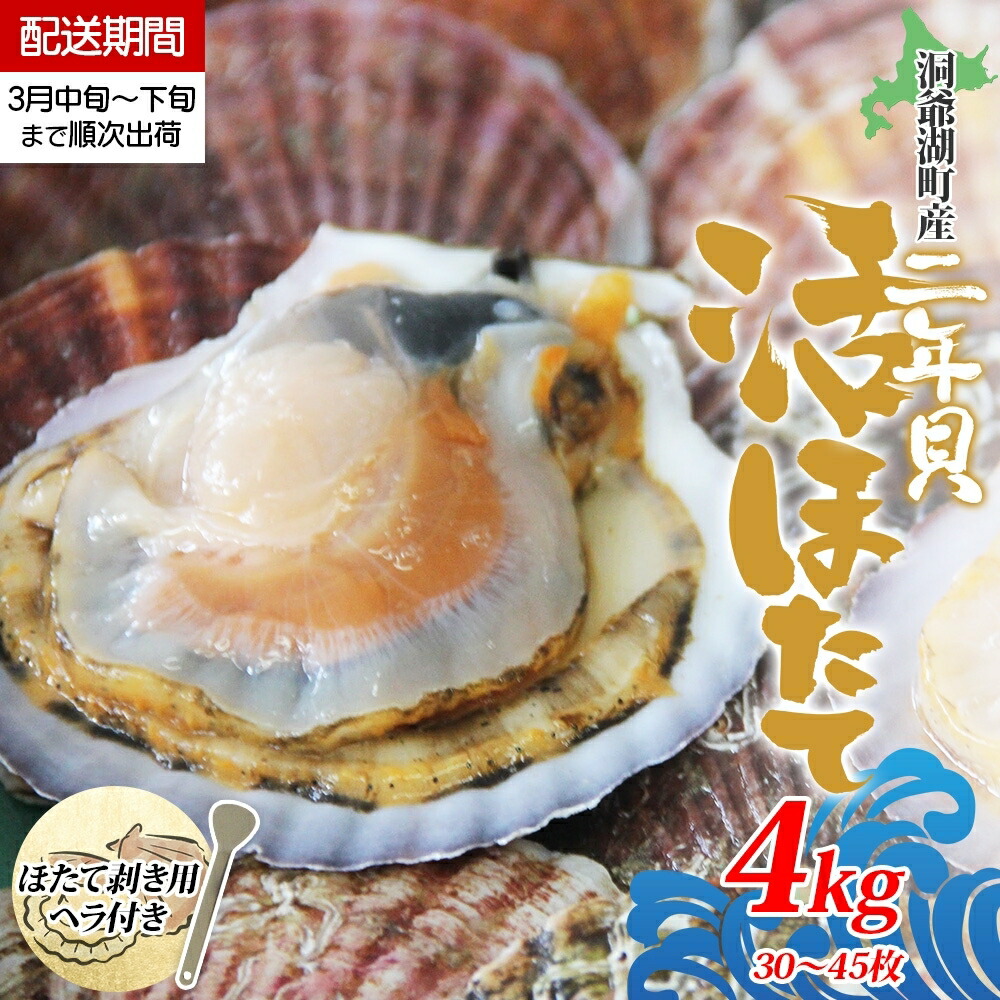 【ふるさと納税】北海道産 活ほたて 2年貝 約 4kg 30枚～45枚 2026年3月中旬～3月下旬頃お届け 殻付き 貝付き 帆立 ホタテ ほたて 貝 魚介 海産 海鮮 貝柱 噴火湾 刺身 焼き フライ 生産者支援 産地直送 送料無料 　お届け：2026年3月中旬～3月下旬まで