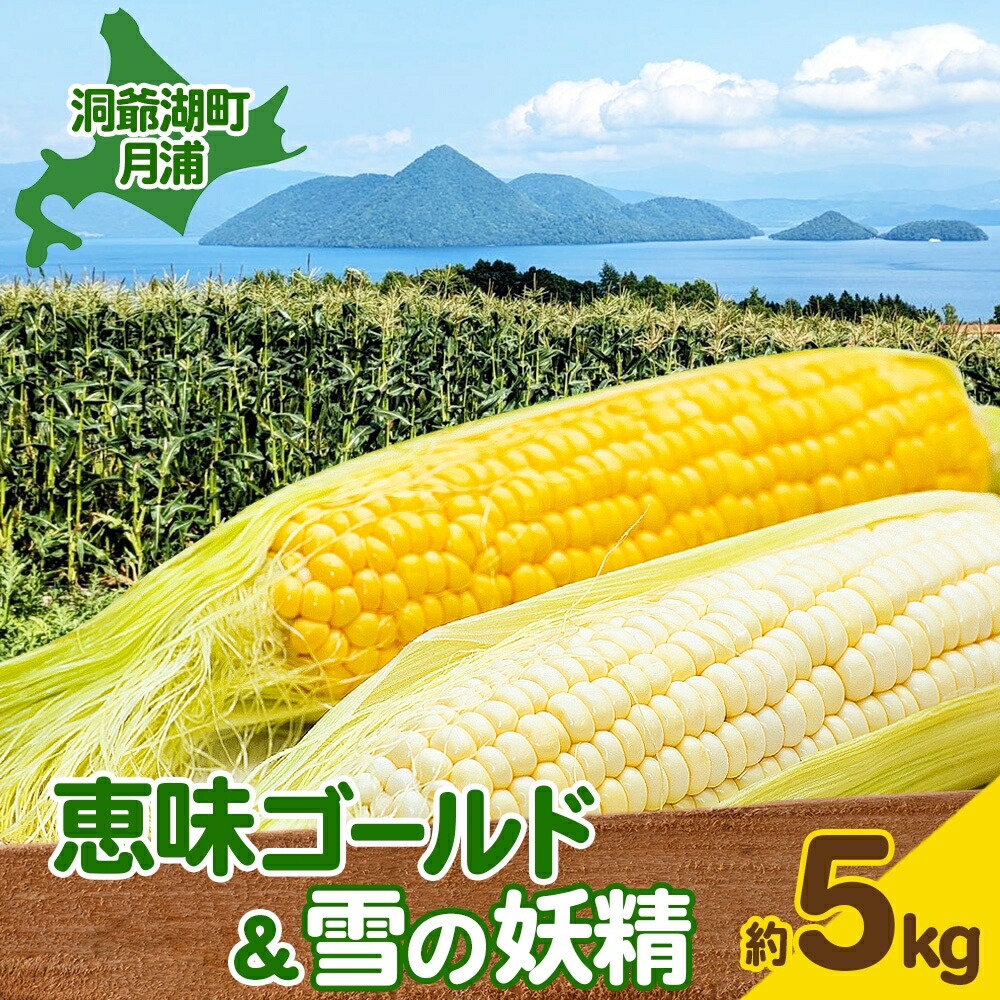 【ふるさと納税】北海道 月浦 めぐみ ゴールド 雪の妖精 5kg 先行受付 8月下旬～9月中旬頃にお届け とうもろこしトウモロコシ とうきび コーン 恵味 スイート コーン 旬 野菜 朝採り 産地直送 青山農園 送料無料 洞爺湖 　お届け：2025年8月下旬～9月中旬頃まで