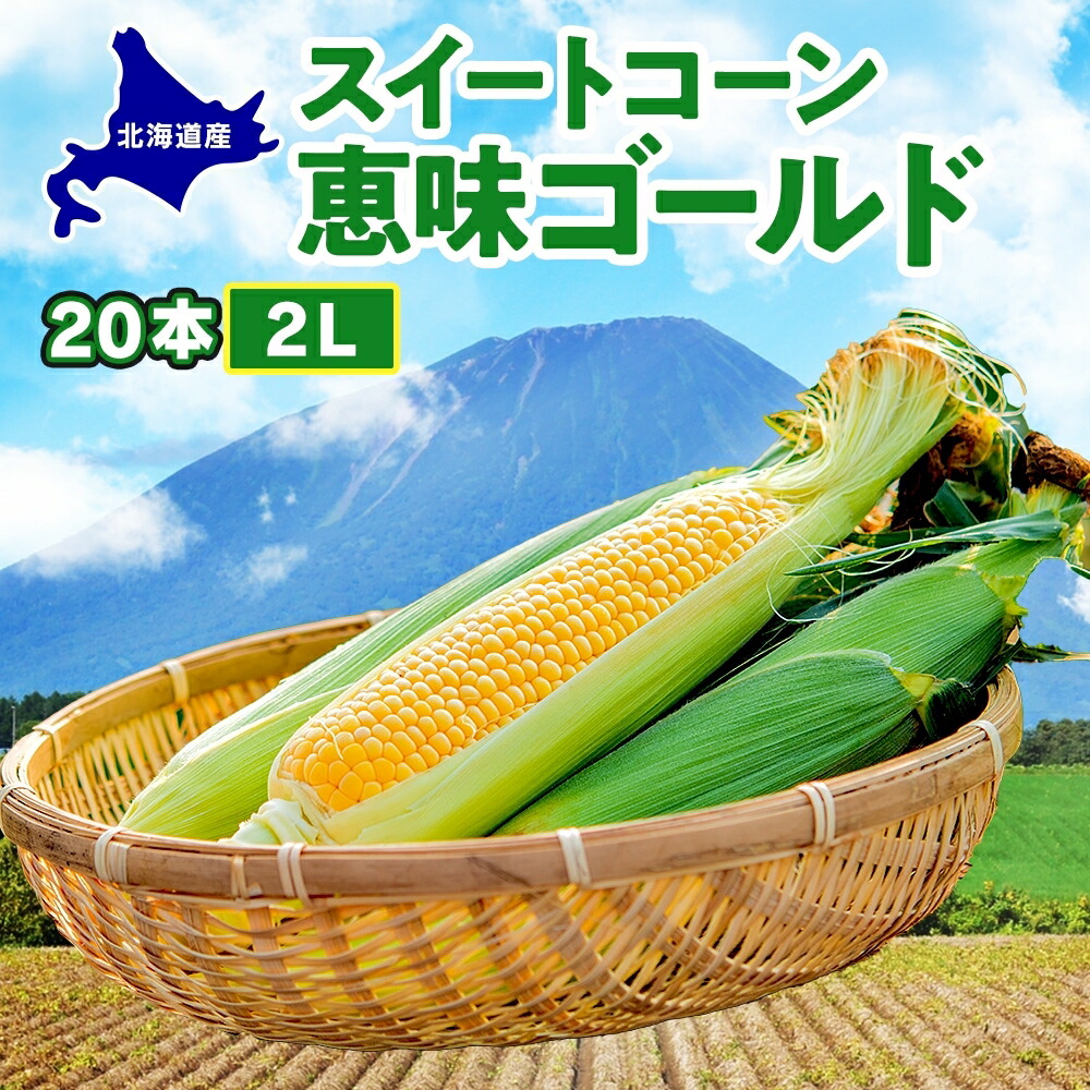 【ふるさと納税】 北海道産 スイート コーン めぐみゴールド 2Lサイズ 20本 先行受付 8月上旬～末頃のお届け とうもろこし 恵味 めぐみ トウモロコシ 旬 完熟 朝もぎ 野菜 産地直送 お取り寄せ 北海道 丸田農園 送料無料 洞爺湖 　お届け：2025年8月上旬～8月末