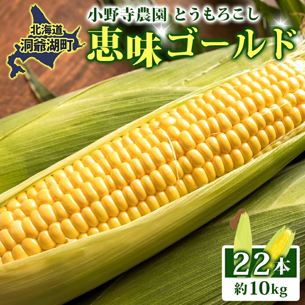 【ふるさと納税】北海道 とうもろこし 恵味ゴールド 約10kg 22本入り 2025年8月11日～31日頃お届け トウモロコシ コーン 甘い 産地直送 BBQ とうきび 国産 人気 バーベキュー 焼きとうもろこし お取り寄せ 北海道産 洞爺湖町 　お届け：2025年8月中旬から8月下旬頃のお届け