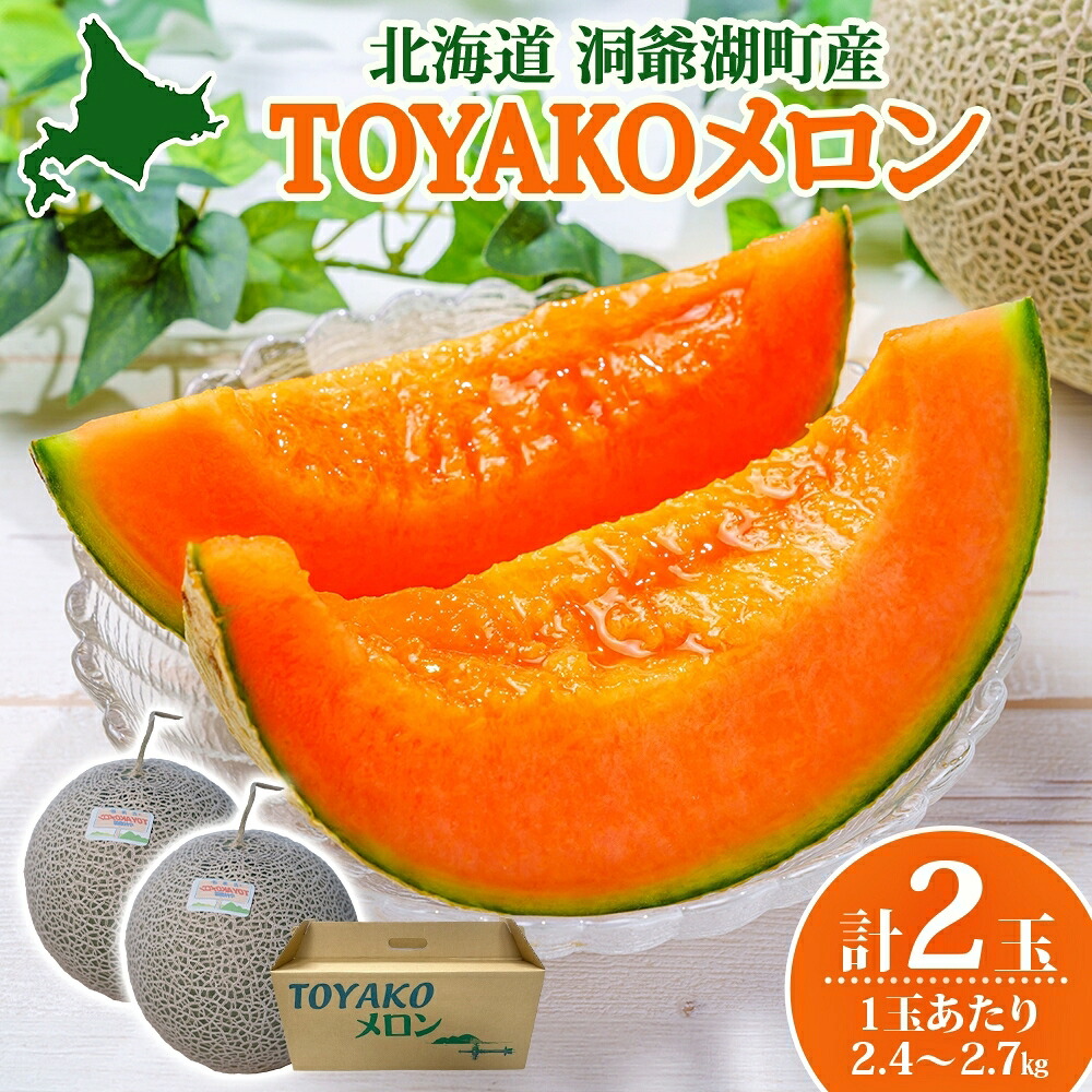 【ふるさと納税】TOYAKOメロン 2玉 計4.8kg～5.4kg 2026年9月下旬～10月中旬お届け 先行予約 北海道産 メロン レッド113 糖度14度以上 赤肉 フルーツ 果物 旬 デザート 国産 贈り物 常温 今村農園 北海道 洞爺湖町 　お届け：2026年9月下旬～10月中旬まで 14,600円