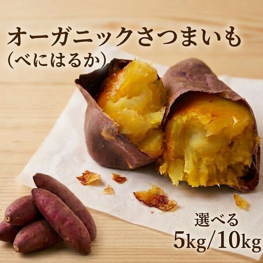 【ふるさと納税】〈 先行予約 〉 オーガニック さつまいも べにはるか 【 量 選べる 】 5kg - 10kg サツマイモ いも イモ 芋 有機栽培 有機野菜 農薬不使用 化学肥料不使用 焼き芋 大学芋 北海道 安平町 安平｜北海道安平町 16,790円