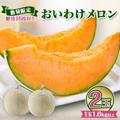 【ふるさと納税】【数量限定】 おいわけメロン 糖度16度以上　1.6kg以上×2玉入【1082977】