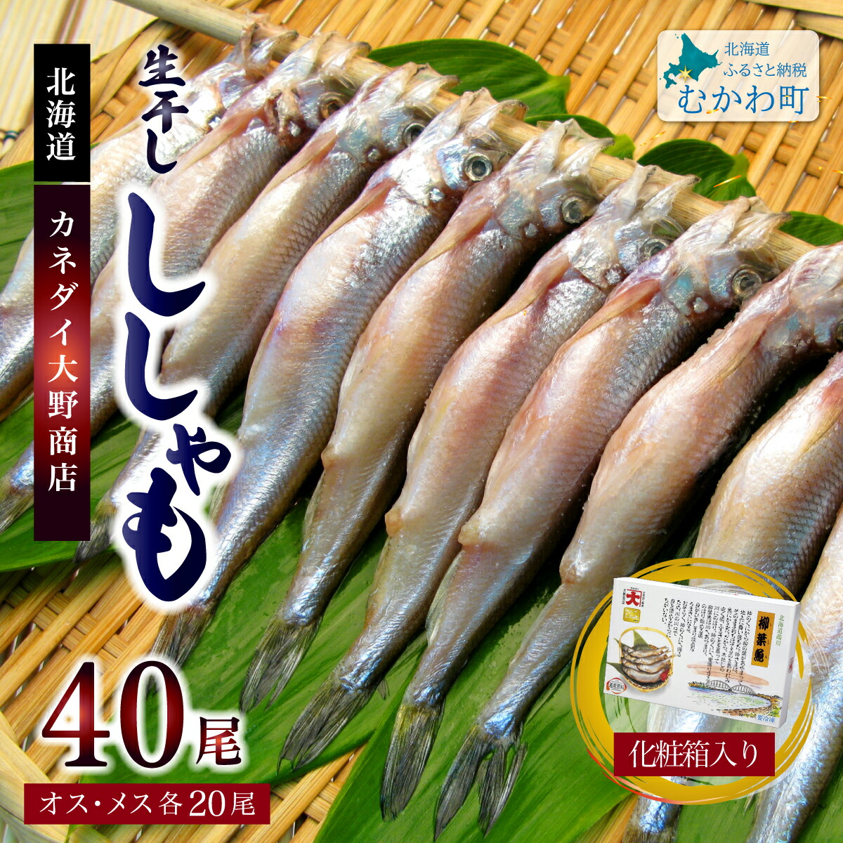 【ふるさと納税】北海道産 生干ししゃもセット（メス・オス各20尾） 【 ふるさと納税 人気 おすすめ ランキング ししゃも シシャモ 生干し おかず ご当地 むかわ 鵡川 北海道 むかわ町 送料無料 】 MKWAE001｜北海道むかわ町