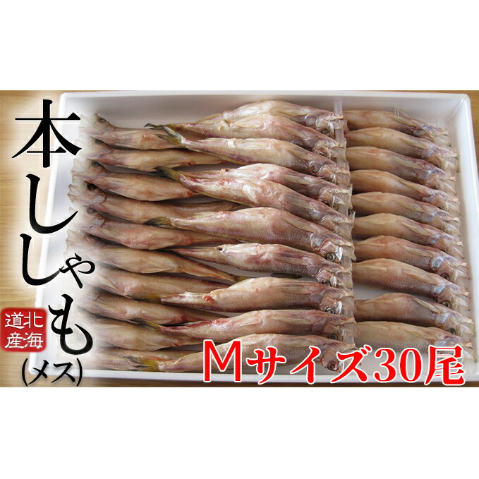 楽天市場 ふるさと納税 北海道産ししゃも メス M30尾セット 魚貝類 ししゃも シシャモ 魚介類 メス 干物 北海道日高町