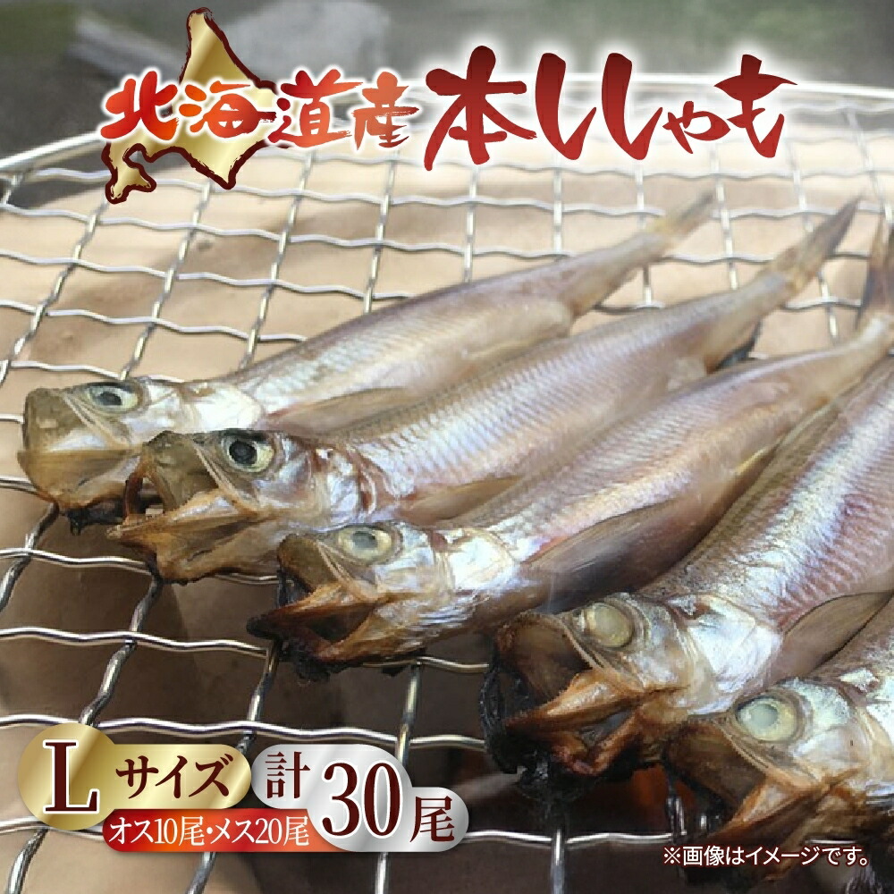 【ふるさと納税】北海道産 阿部水産 ししゃも L 30尾セット 本ししゃも 雄 雌 オス メス 魚卵 卵 たまご タマゴ子持ち 北海道土産 季節限定 ほくほく 子魚 無添加 クール便 冷凍 送料無料 北海道 日高町　魚貝類・ししゃも・魚介類・干物・11月のおすすめ