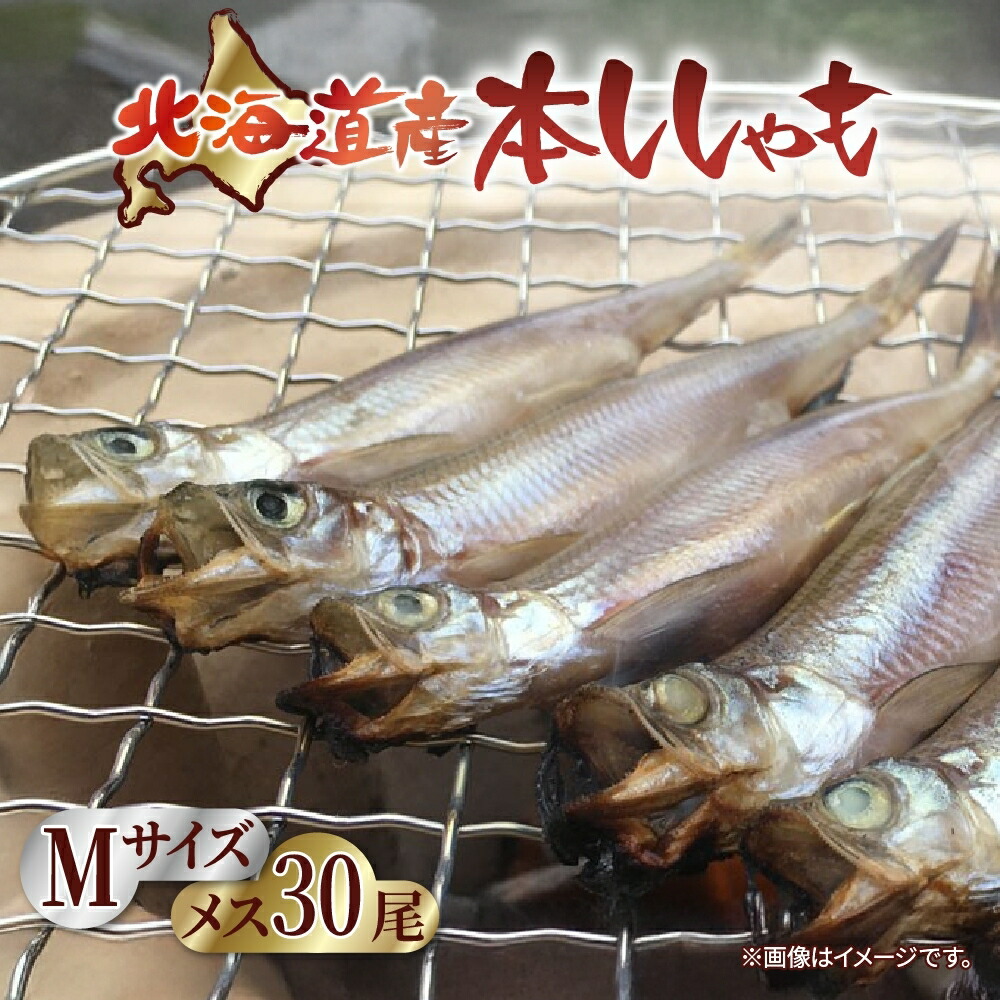 【ふるさと納税】北海道産 阿部水産 ししゃも M 30尾セット 本ししゃも 雌 メス 魚卵 卵 たまご タマゴ子持ち 北海道土産 季節限定 ほくほく 子魚 無添加 クール便 冷凍 送料無料 北海道 日高町　魚貝類・ししゃも・シシャモ・魚介類・メス・干物