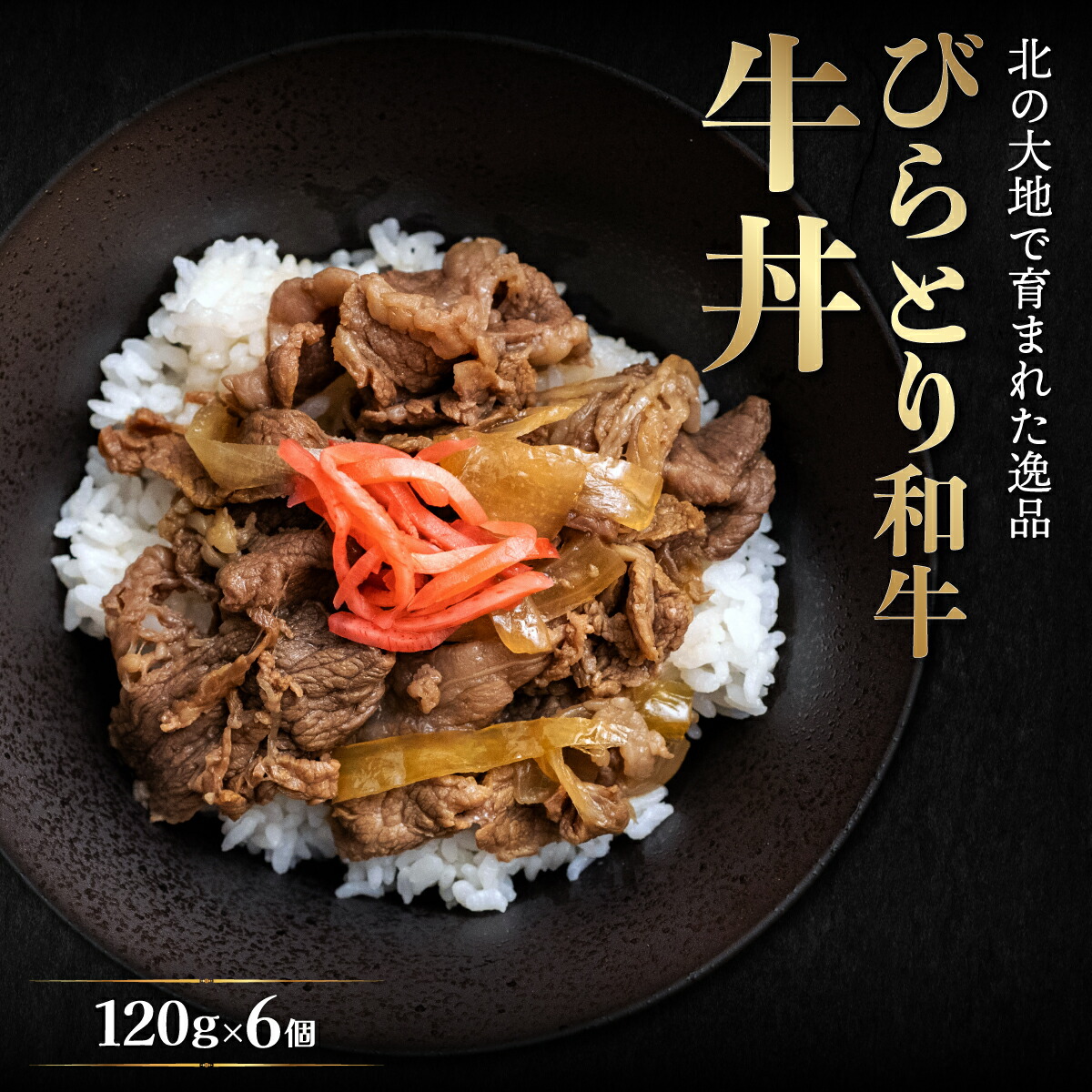 【ふるさと納税】びらとり和牛牛丼120ｇ6個 ふるさと納税 人気 おすすめ ランキング 和牛 肉 牛丼 北海道 平取町 送料無料 BRTB033