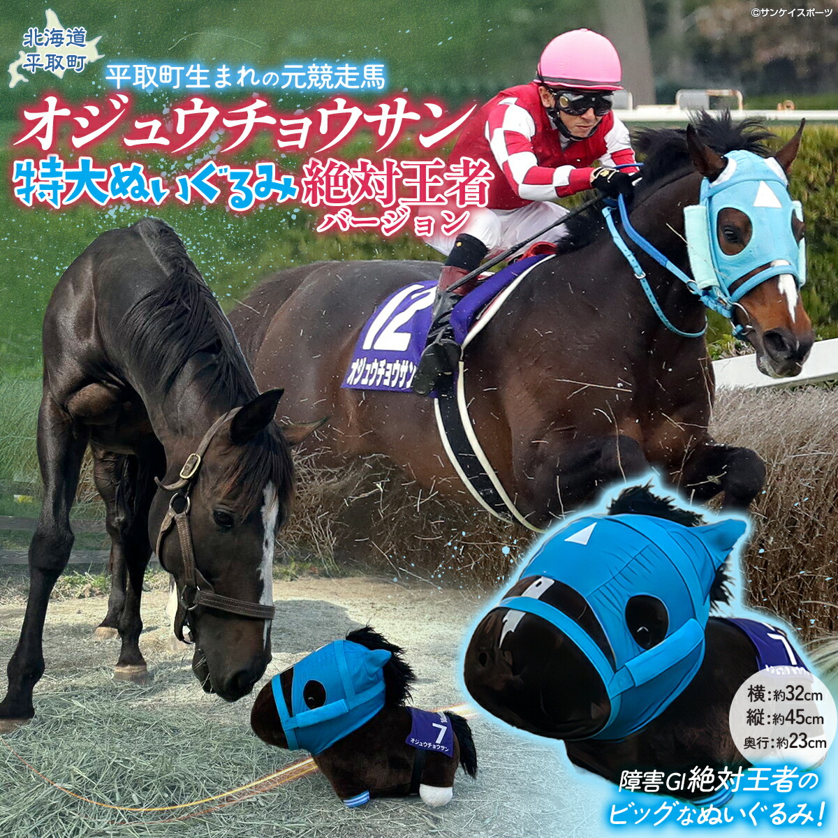 楽天市場】【ふるさと納税】【御守り】オジュウチョウサンたてがみ入り