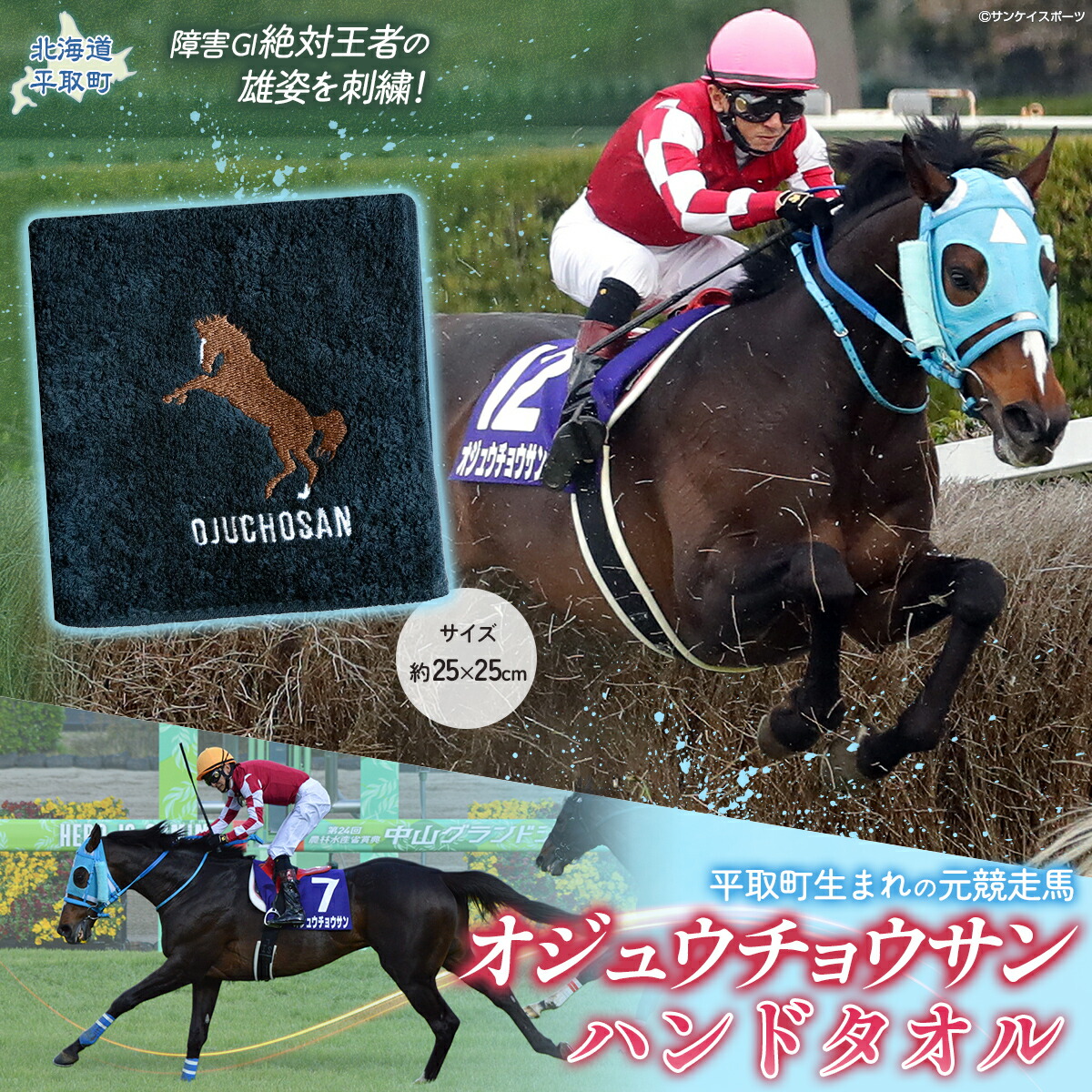 楽天市場】【ふるさと納税】【御守り】オジュウチョウサンたてがみ入り