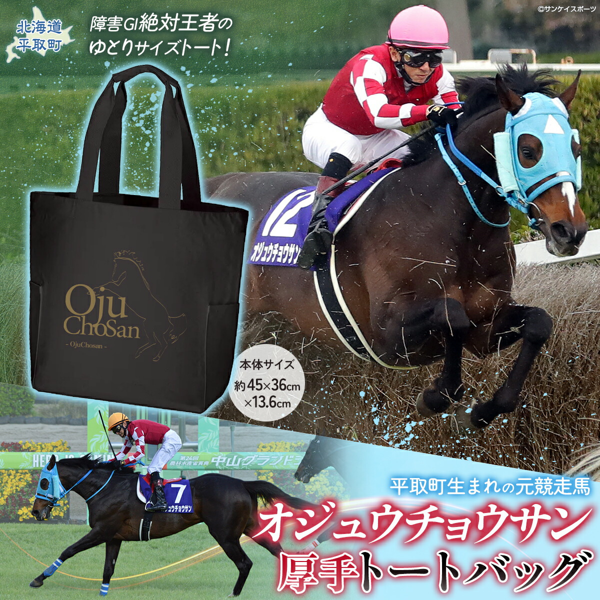 楽天市場】【ふるさと納税】【オジュウチョウサン】タペストリー