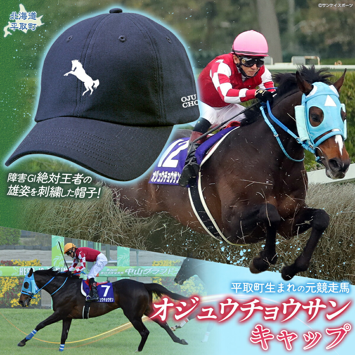 楽天市場】【ふるさと納税】【御守り】オジュウチョウサンたてがみ入り