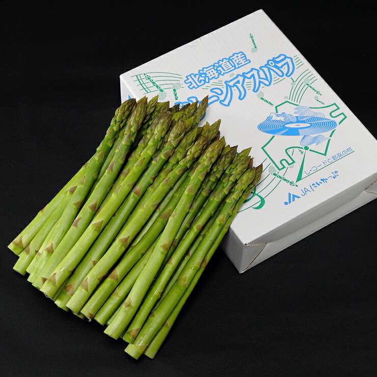 ふるさと納税 124 北海道新冠産 グリーンアスパラ 1kg 9 000円 野菜 北海道 新冠町 ふるさと納税 新冠産 グリーンアスパラ 野菜 北海道 新冠町 申請書 それ自体は Diasaonline Com