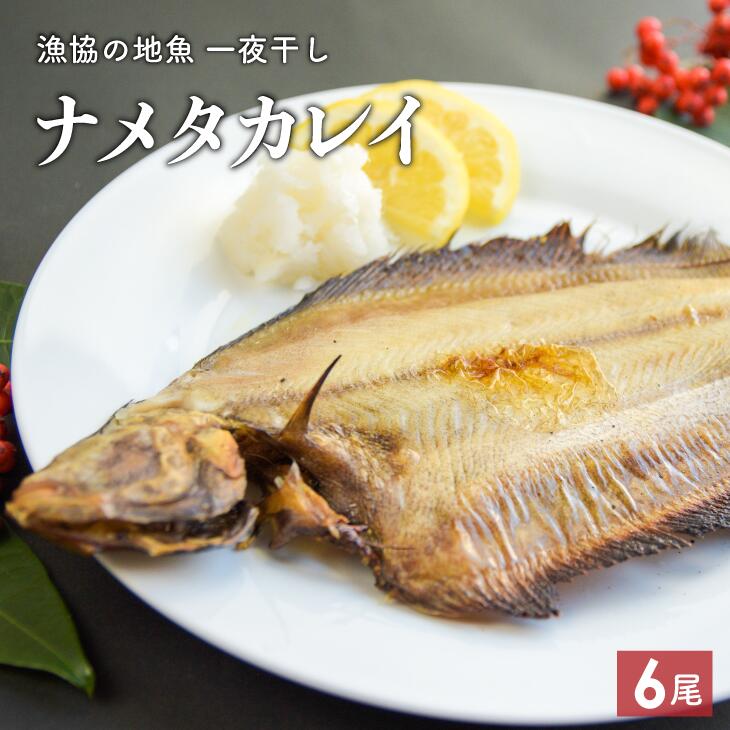 漁協の地魚一夜干し ナメタカレイ 漁協の地魚一夜干し