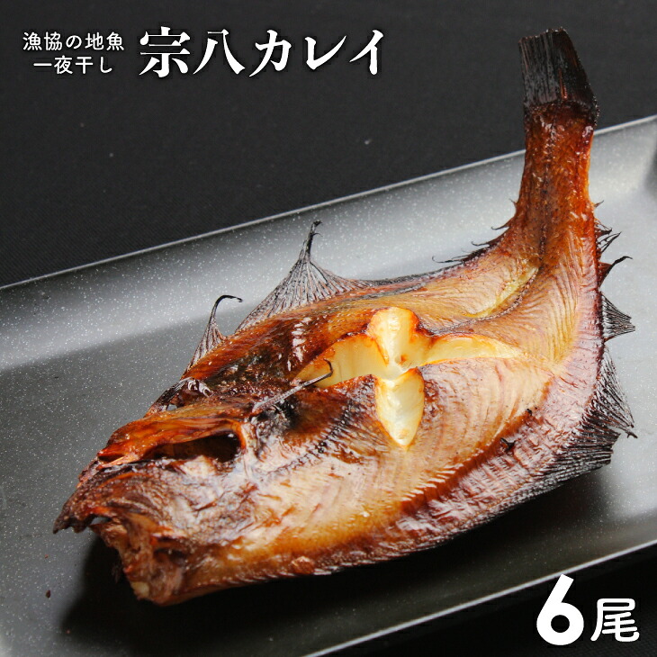 【ふるさと納税】漁協の地魚一夜干し 宗八カレイ 中サイズ(6尾入)[02-865] 北海道 浦河 ふるさと納税 宗八カレイ カレイ 一夜干し 干物 送料無料