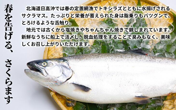レビュー高評価の商品 お料理松山特製 サクラマス切身 と すけそう鱈一夜干し セット B05 1117 Fucoa Cl レビュー高評価の商品 お料理松山特製 サクラマス切身 と すけそう鱈一夜干し セット B05 1117 Fucoa Cl