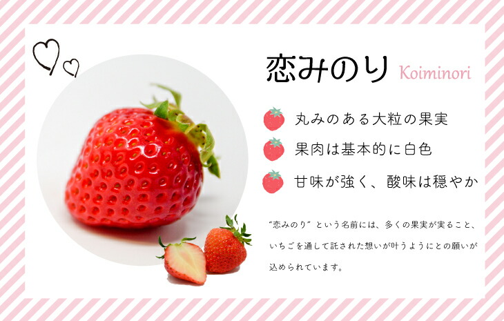 ふるさと納税 令和4年1月上旬頃より発送 浦河産いちご恋みのり 250g 4p B13 268 離島 沖縄県発送不可 Mavipconstrutora Com Br