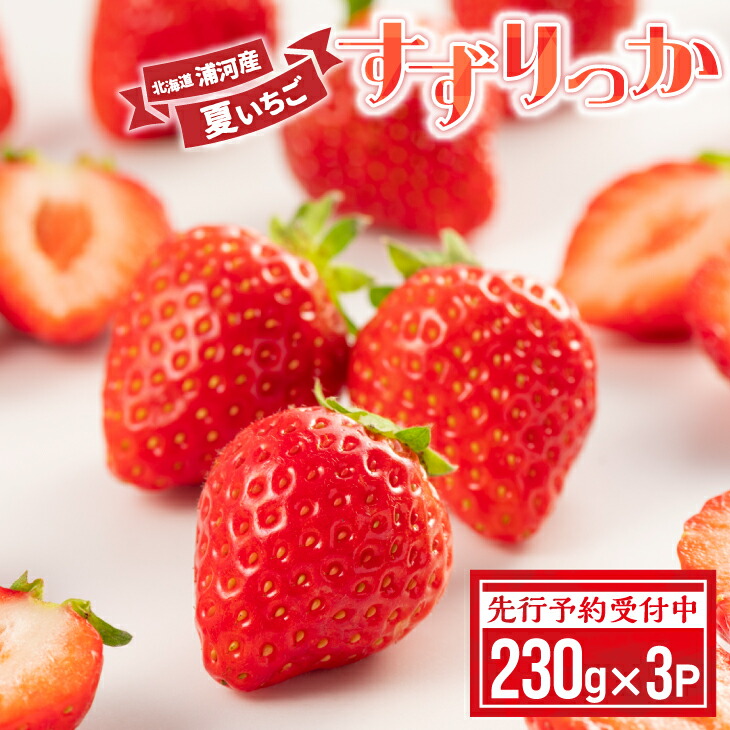 【ふるさと納税】【先行予約受付中】北海道浦河産 夏いちご 「すずりっか」230g×3P[13-1334] 北海道 浦河 ふるさと納税 いちご 苺 すずりっか 送料無料