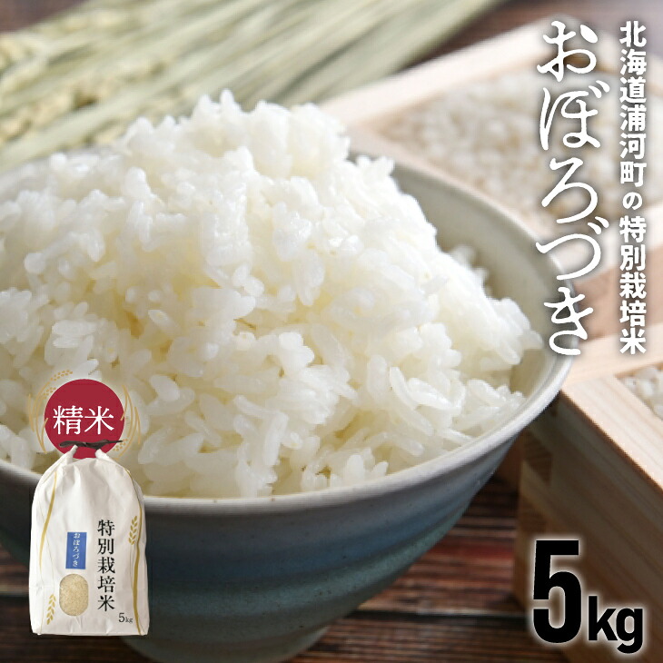 【ふるさと納税】北海道浦河町の特別栽培米「おぼろづき」精米(5kg&times;1袋)[37-1132] 北海道 浦河 ふるさと納税 おぼろづき 令和7年度 5kg 特別栽培米 米 精米 送料無料｜北海道浦河町