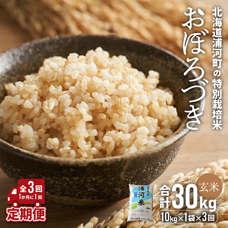 【ふるさと納税】北海道浦河町の特別栽培米「おぼろづき」玄米(10kg&times;1袋)定期便(全3回)[37-1176] 北海道 浦河 ふるさと納税 特別栽培米 おぼろづき 米 玄米 定期便 全3回 送料無料｜北海道浦河町 44,400円