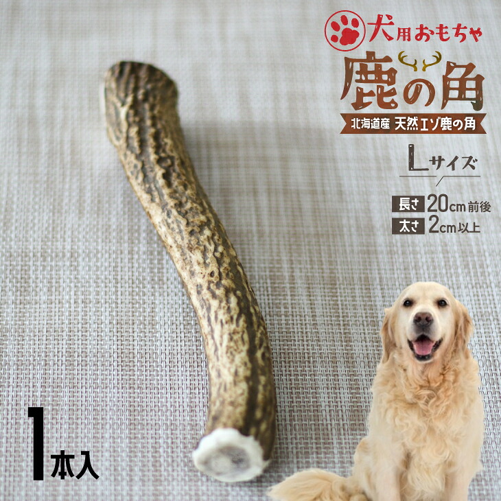 【ふるさと納税】犬用「鹿の角」Ｌサイズ×1本[53-1349] 北海道 浦河 ふるさと納税 鹿の角 鹿 犬用 ワンちゃん おもちゃ 玩具 デンタルケア 送料無料