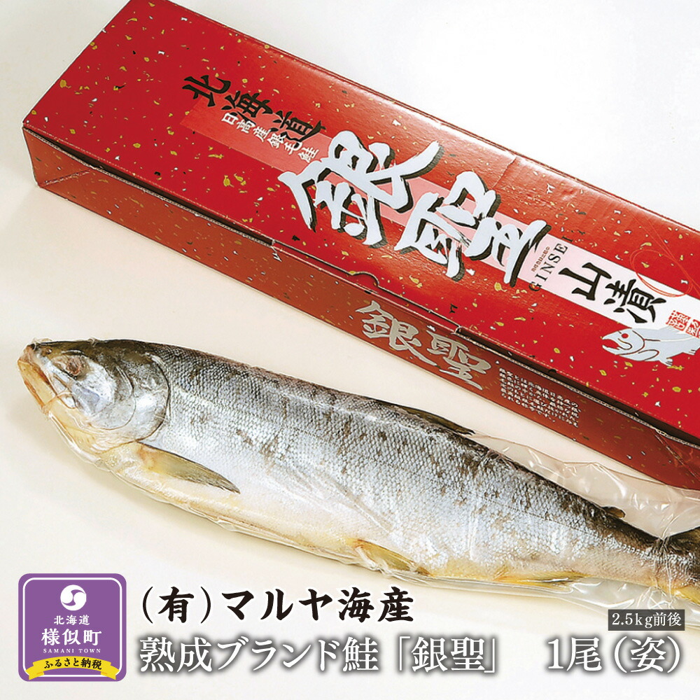 12600円 【56%OFF!】 ブランド鮭 銀聖 1尾 姿 鮭 さけ サケ しゃけ シャケ 魚 海鮮 海産物 海の幸 北海道 様似町 お土産  お取り寄せ 銀鮭 北海道産 特産品 ギフト 冷凍 一本 山漬け 漬魚 漬け魚 お取り寄せグルメ 塩サケ 塩鮭 北海道様似町