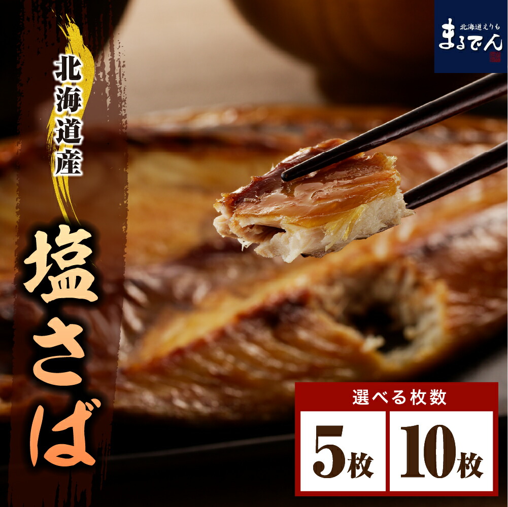 【ふるさと納税】塩さば 200g以上 選べる (5枚 1kg / 10枚 2kg) <br><br>/ さば サバ 鯖 開き 干物 ひもの 一夜干し 小分け 便利 真空パック 個包装 冷凍 焼魚 焼き魚 魚 水産加工品 魚介 海鮮 海の幸 海産物 新鮮 国産 北海道産 北海道 えりも町