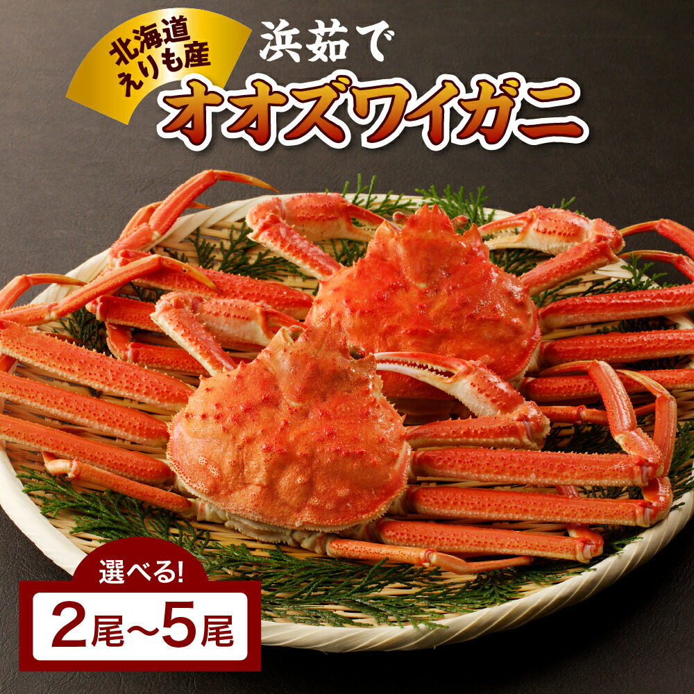 【ふるさと納税】高評価 浜茹で オオズワイガニ 北海道産 ( 選べる 2尾 600g / 3尾 900g / 4尾 1200g / 5尾 1500g ) かに 蟹 大ズワイガニ ズワイガニ ズワイ ボイル かにみそ 蟹みそ 姿 国産 北海道 えりも町
