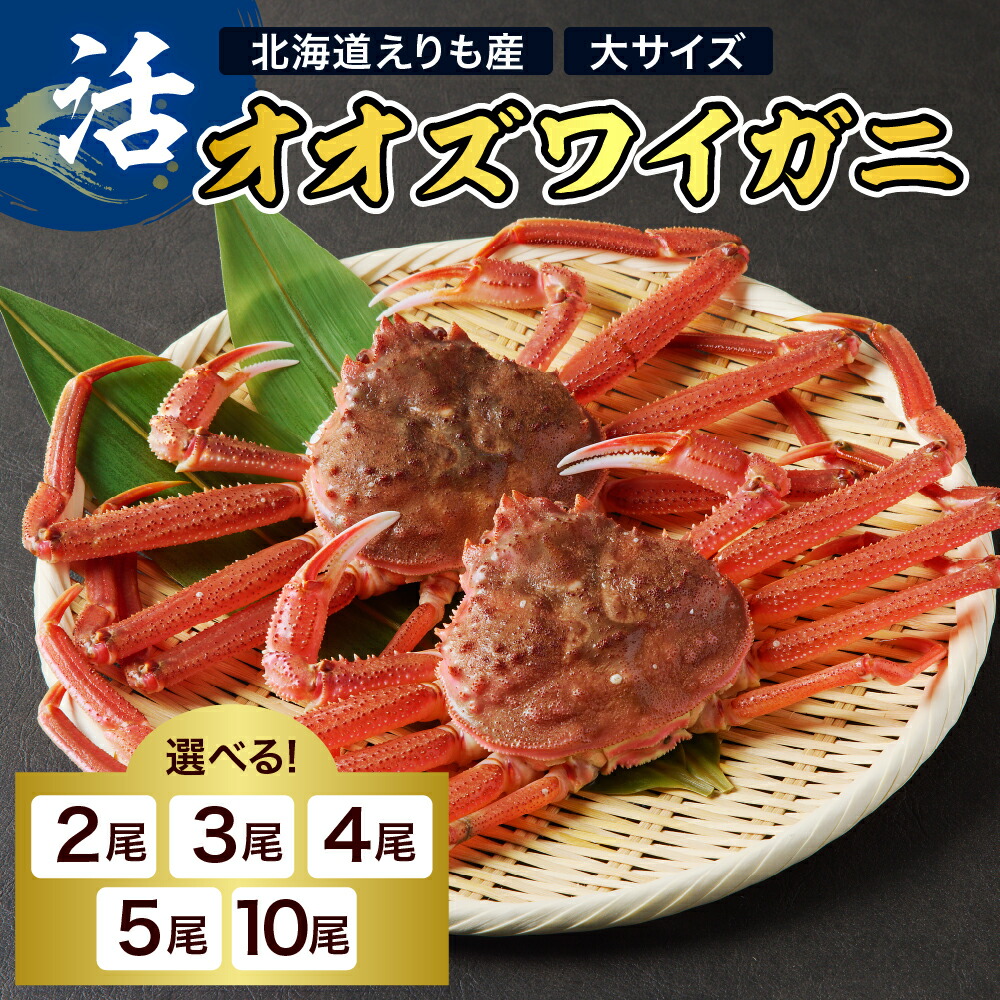 【ふるさと納税】＼ レビューキャンペーン ／ 活 オオズワイガニ 1尾あたり 400g以上 ( 内容量が選べる / 2尾 3尾 4尾 5尾 10尾 ) 大ズワイ 大ズワイガニ ズワイガニ ズワイ かに 蟹 魚介 海鮮 新鮮 生 人気 送料無料 国産 道産 北海道産 北海道 えりも産 襟裳