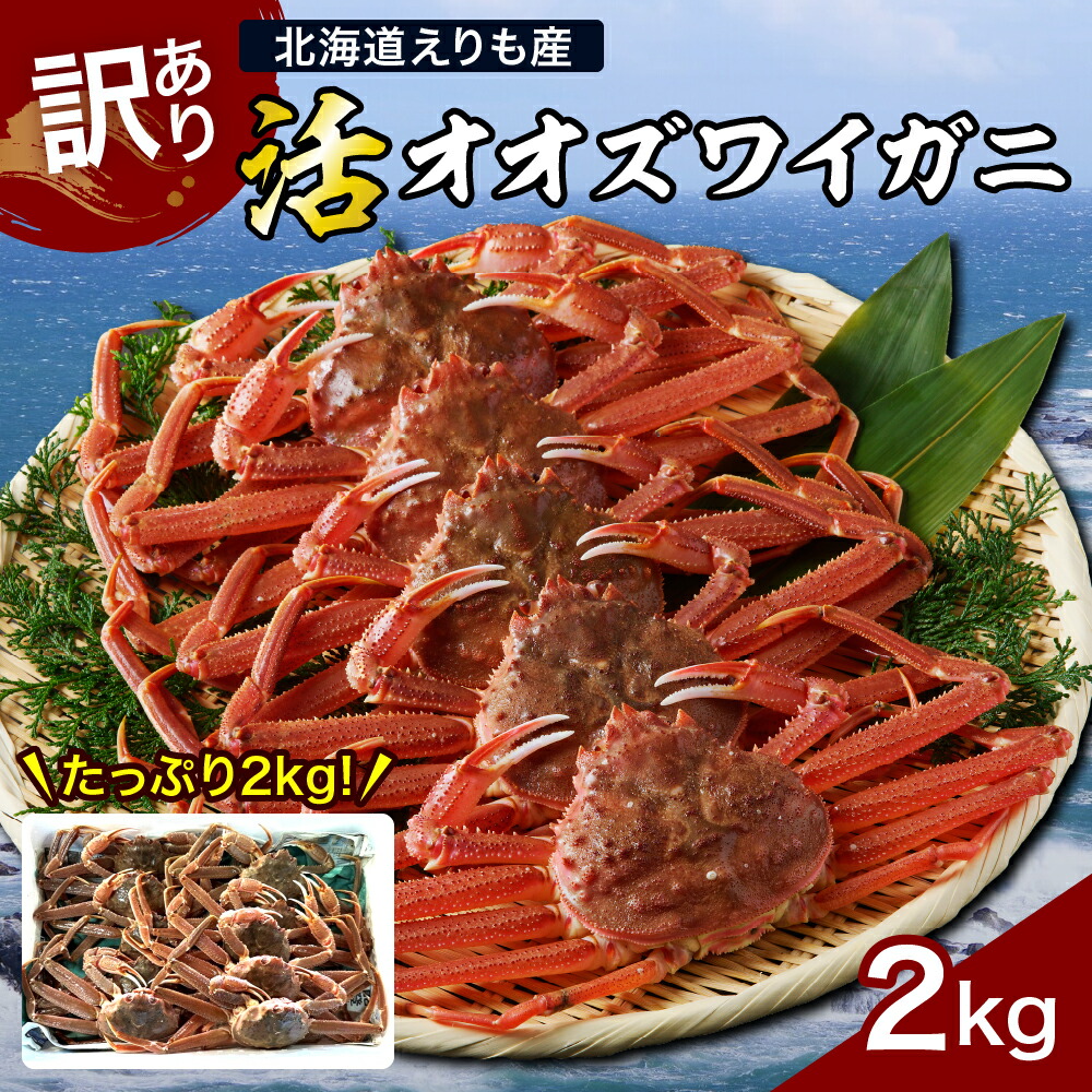 【ふるさと納税】＼ レビューキャンペーン ／ 高評価 訳あり 活 オオズワイガニ 姿 2kg 冷蔵発送 <br><br>/ おおずわいがに 大ズワイ 大ズワイガニ ズワイガニ ズワイ 蟹 カニ かに 魚介類 魚介 海鮮 海の幸 海産物 大容量 訳アリ 姿 国産 北海道産 北海道 えりも町