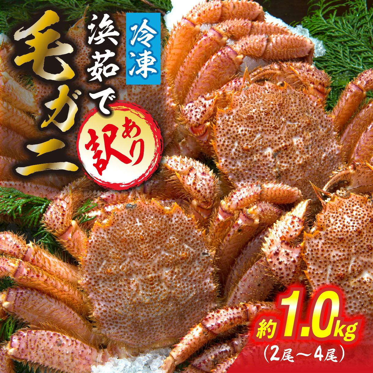 【ふるさと納税】 毛蟹 毛ガニ 約 1kg （ 2～4尾 ） 冷凍 訳あり ふるさと納税 お取り寄せ 北海道産 ボイル 毛がに けがに かに カニ 蟹 蟹味噌 かに味噌 カニ味噌 みそ わけあり 訳アリ 海鮮 海産物 魚介 浜ゆで 北海道 新ひだか町 冷凍便｜北海道新ひだか町