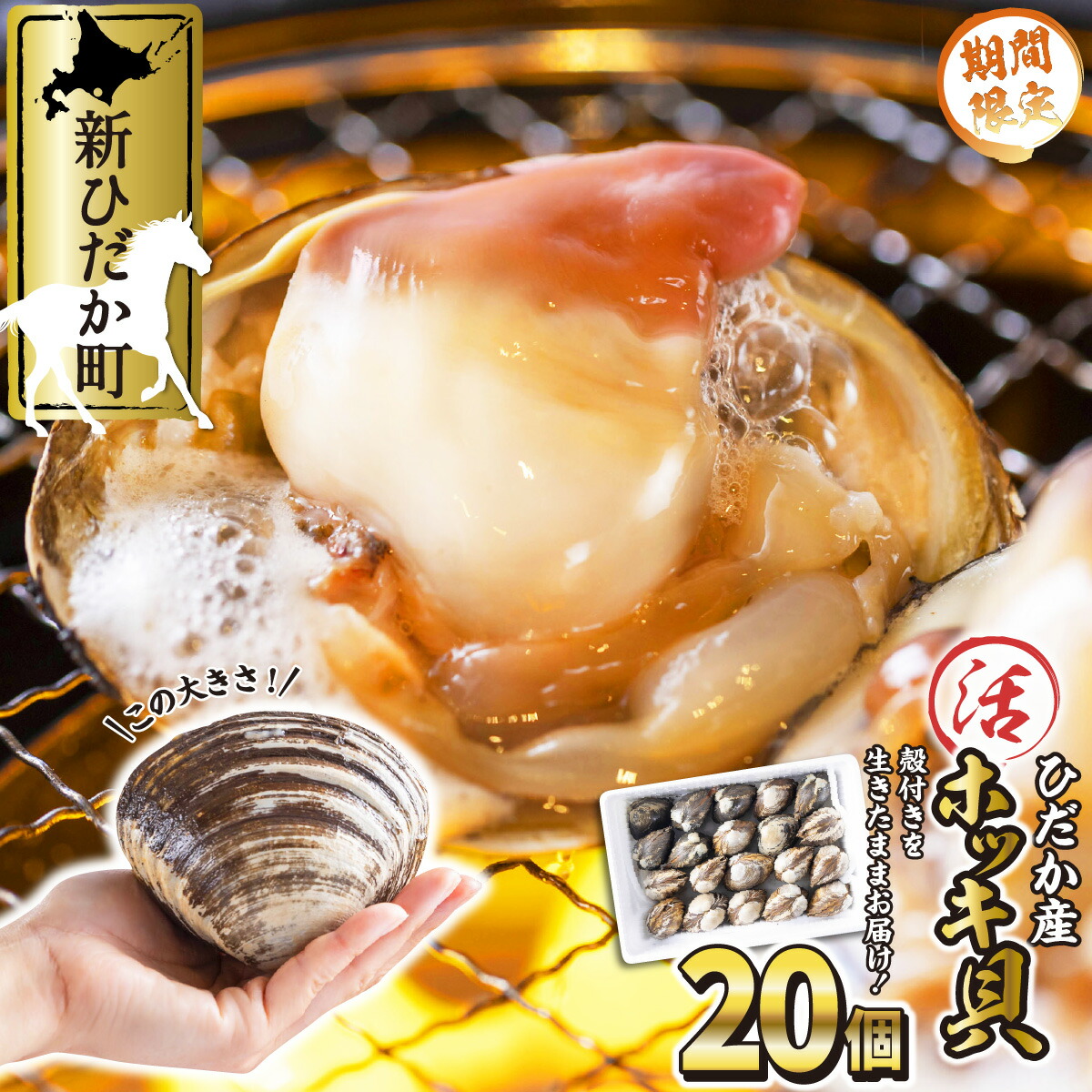 12脚まとめ買い 太陽の季節さま専用 5 楽天市場】【ふるさと納税】 ＜9/15までの受付＞ 北海道産 ミニトマト