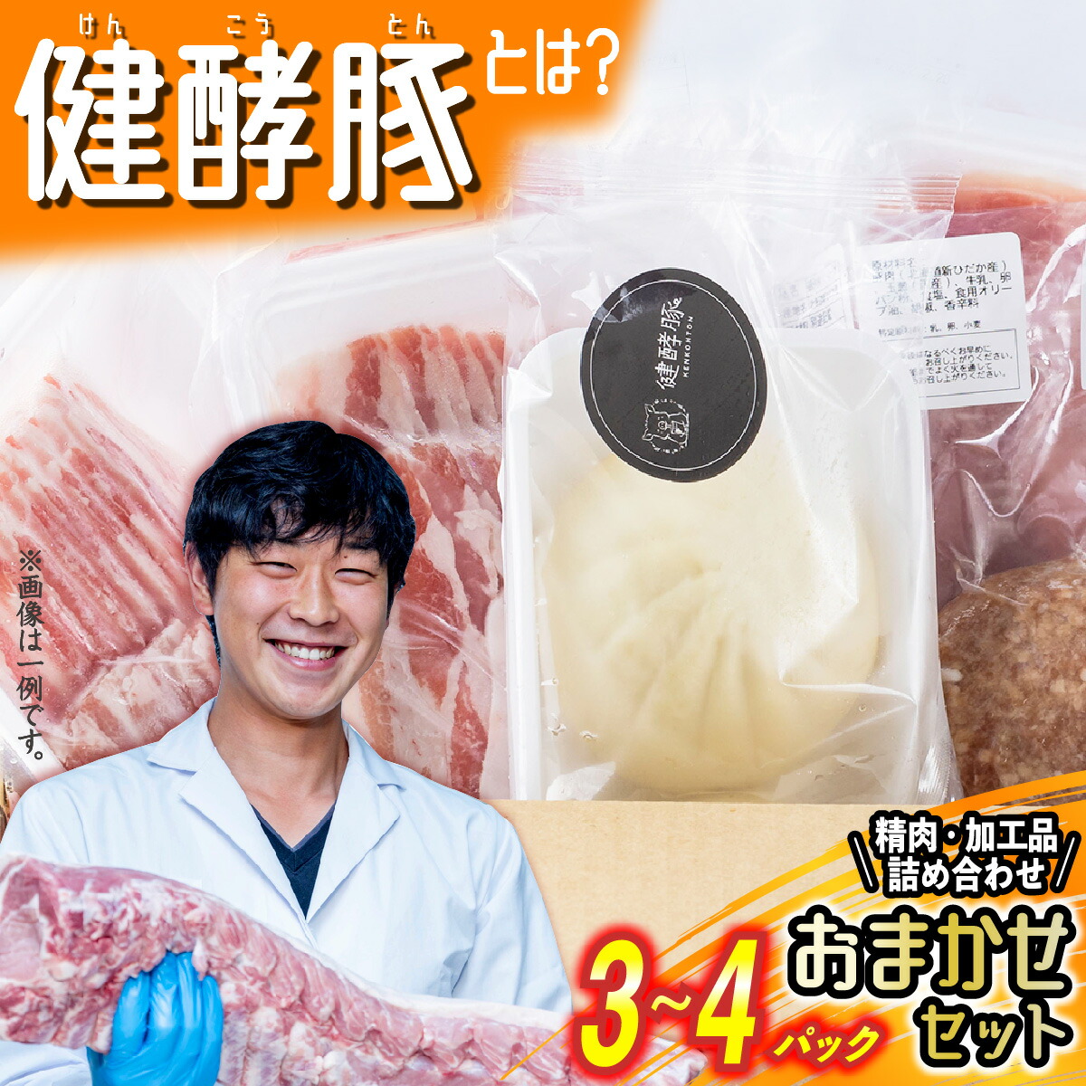 【ふるさと納税】 北海道産 豚肉 精肉 加工品 おまかせ セット 3~4パック 健酵豚 おためし 詰め合わせ お楽しみ おたのしみ セット 豚 肉 ブランド ポーク 酵素 旨味 うまみ うま味 冷凍 北海道 新ひだか町|北海道新ひだか町