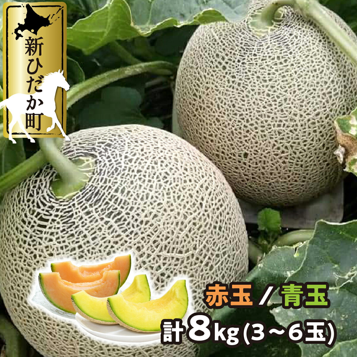 楽天市場】【ふるさと納税】 < 2025年7月中旬より発送 楽天市場】【ふるさと納税】 < 2025年7月中旬より発送