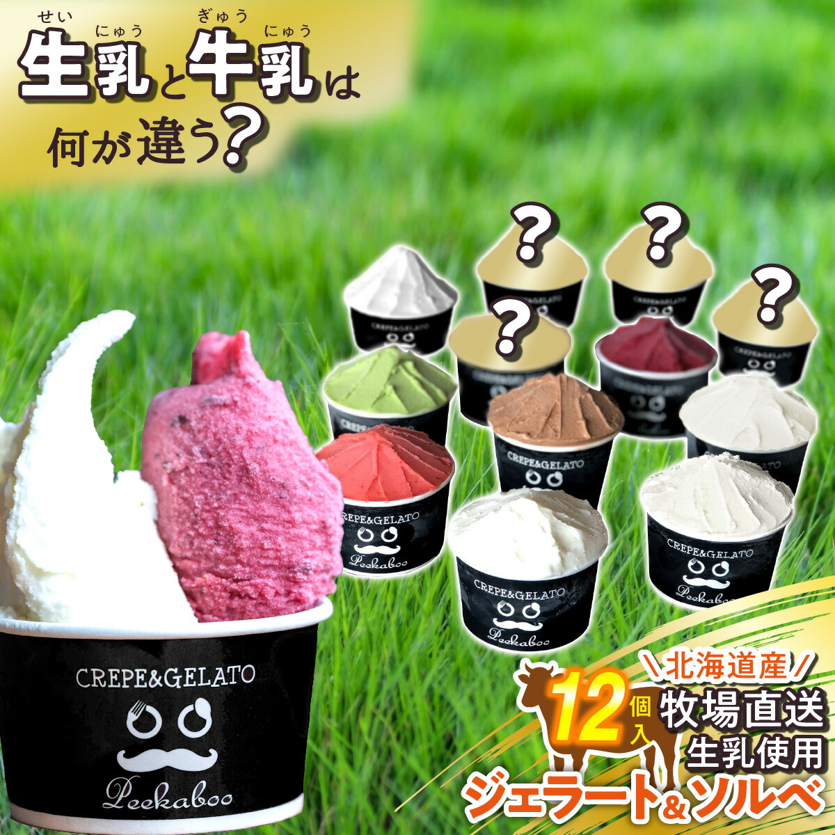 楽天市場】【ふるさと納税】 アイス ジェラート ソルベ 8個 北海道産