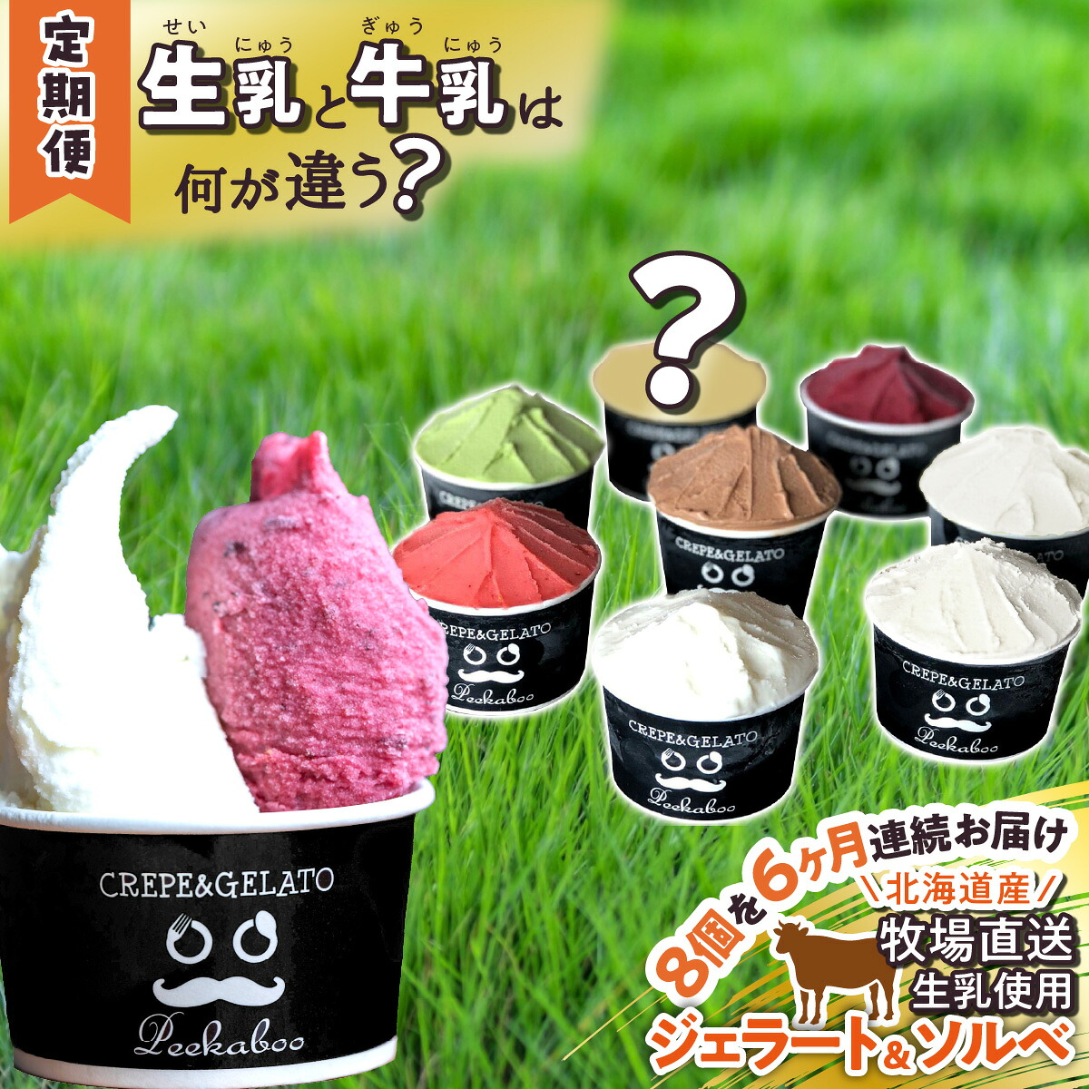 【ふるさと納税】 ＜6ヶ月定期便＞ アイス ジェラート ソルベ 毎月 8個 北海道産 生乳 ジェラートセット スイーツ ミルク カップアイス カップ 詰め合わせ 冷凍 北海道 新ひだか町｜北海道新ひだか町