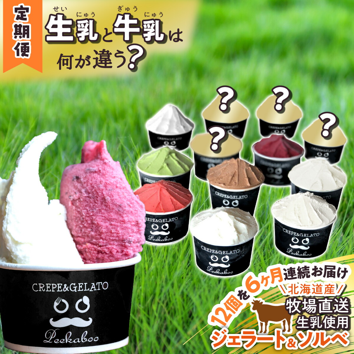 【ふるさと納税】 ＜6ヶ月定期便＞ アイス ジェラート ソルベ 毎月 12個 北海道産 生乳 ジェラートセット スイーツ ミルク カップアイス カップ 詰め合わせ 冷凍 北海道 新ひだか町