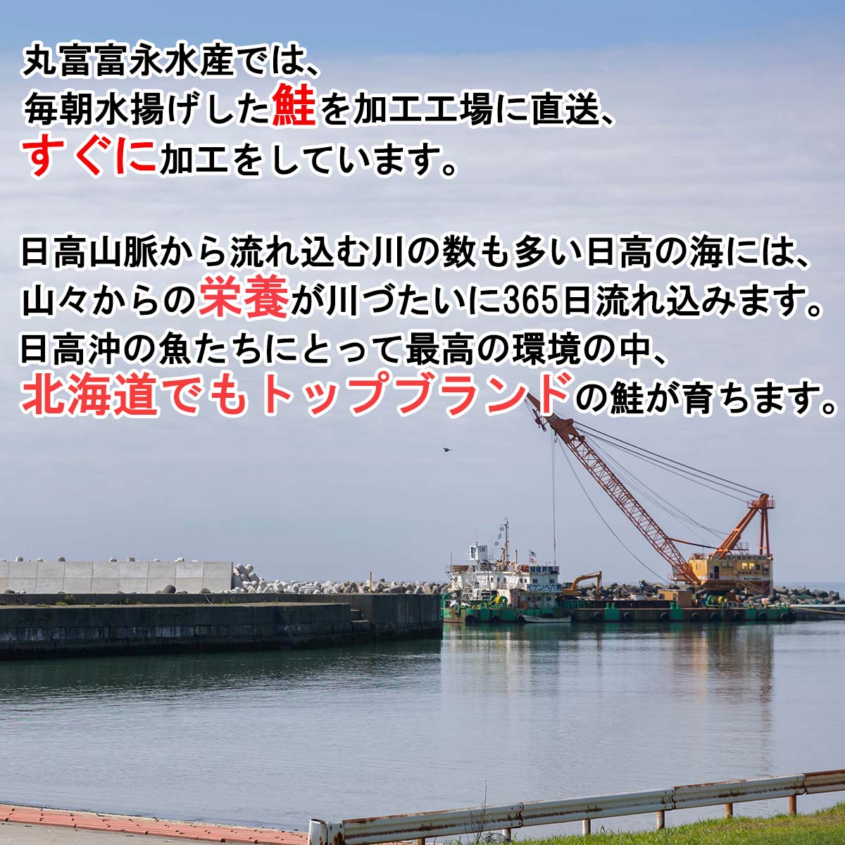 市場 ふるさと納税 400g 200g×2個 鮭卵 醤油漬け 北海道産 いくら