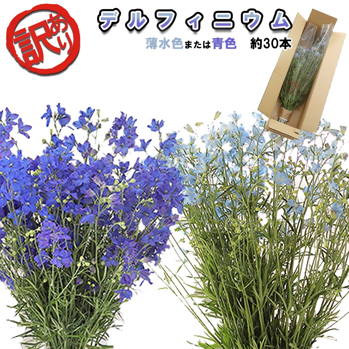 Shop R10s Jp F Shinhidaka Cabinet Images2 Ya